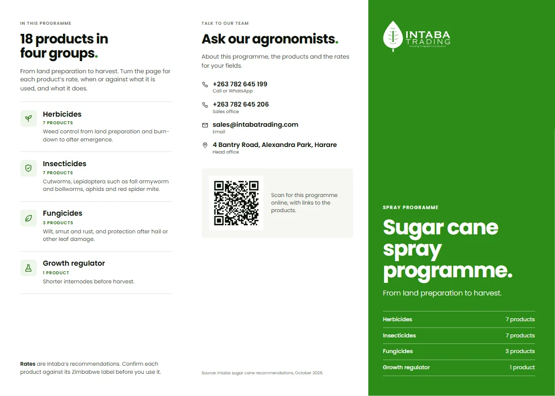 The tri-fold brochure, first side